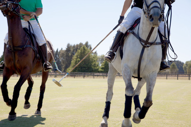 Bất ngờ trước môn thể thao xa xỉ không phải đại gia nào cũng dám chơi: Golf tốn cả trăm triệu đồng là bình thường, riêng môn này chi phí đầu vào ngốn hàng chục tỷ đồng - Ảnh 4.