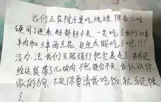 Chó Husky trốn đi chơi cả đêm, sáng mang về 1 tờ giấy khiến chủ vừa đọc vừa tăng xông - Ảnh 2.