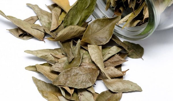 Mẹo đuổi gián ra khỏi nhà chỉ với nguyên liệu có sẵn trong bếp - Ảnh 6. Mẹo đuổi gián ra khỏi nhà chỉ với nguyên liệu có sẵn trong bếp - Ảnh 6.