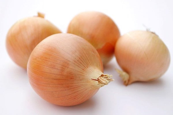 Mẹo đuổi gián ra khỏi nhà chỉ với nguyên liệu có sẵn trong bếp - Ảnh 4. Mẹo đuổi gián ra khỏi nhà chỉ với nguyên liệu có sẵn trong bếp - Ảnh 4.
