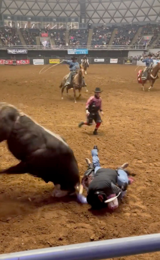 Clip kinh hoàng: Con trai bị bò tót lao vào húc, bố chạy tới lấy thân che chắn, hàng trăm người chứng kiến thót tim cầu nguyện - Ảnh 3.