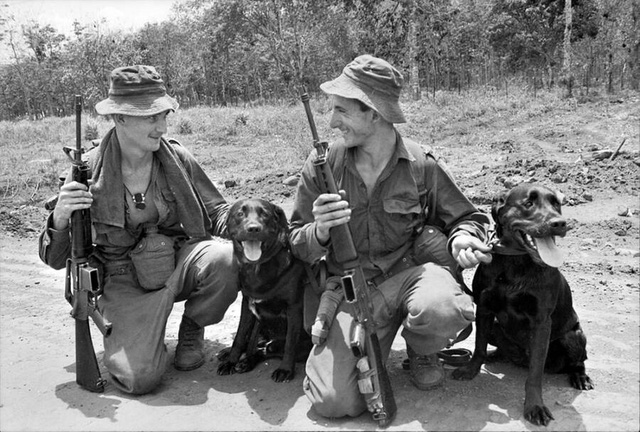 Mercy dog - Những người hùng thầm lặng trong Thế chiến thứ nhất - Ảnh 8.