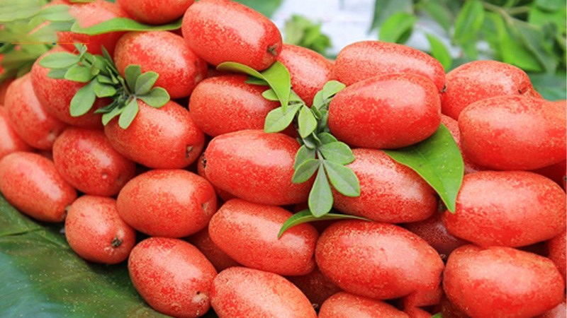 Loại cây là vị thuốc chữa ho hiệu quả, hỗ trợ tiêu hóa tốt: Rất quen thuộc với người Việt - Ảnh 2. Loại cây là vị thuốc chữa ho hiệu quả, hỗ trợ tiêu hóa tốt: Rất quen thuộc với người Việt - Ảnh 2.