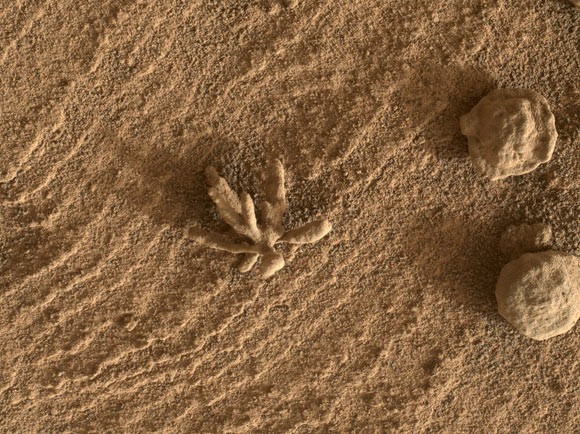 Tàu Curiosity tìm thấy vật thể giống san hô trên sao Hỏa - Ảnh 1.
