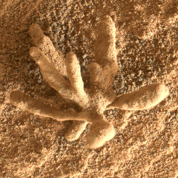 Tàu Curiosity tìm thấy vật thể giống san hô trên sao Hỏa - Ảnh 6.