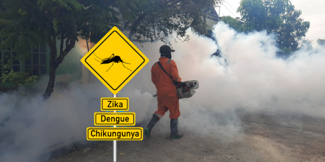 Khi thuốc diệt muỗi không giết được chúng, những con muỗi đang ngày một mạnh hơn - Ảnh 4.