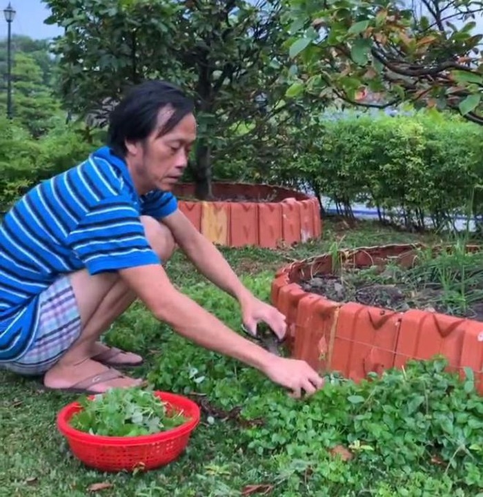 Hình ảnh mới nhất của Hoài Linh: Gầy đen, để râu dài, chăm chỉ làm vườn - Ảnh 4.