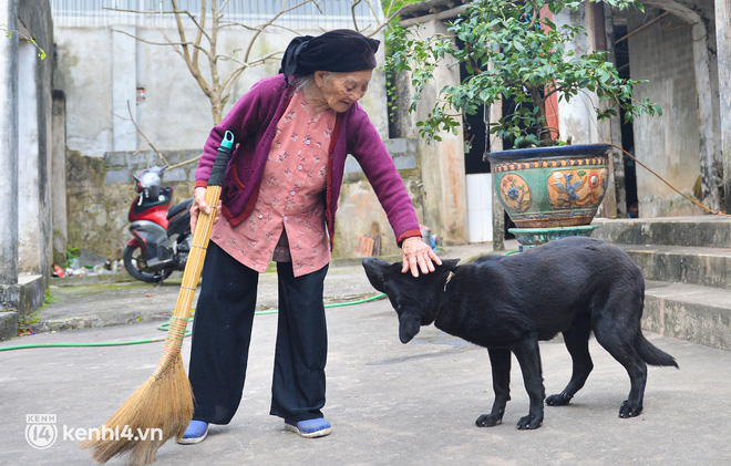 Ngày 8/3 gặp cụ bà 108 tuổi sống bên chú chó mực, nhiều khi buồn lại trèo tường thoăn thoắt đi chơi - Ảnh 4.