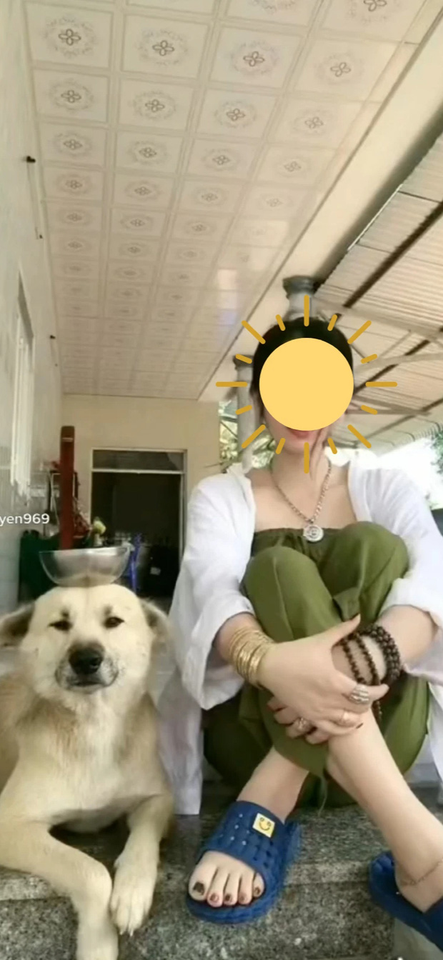 The famous dog on TikTok - Cu Garlic is missing, the owner mourns but still faces controversy - Photo 1.
