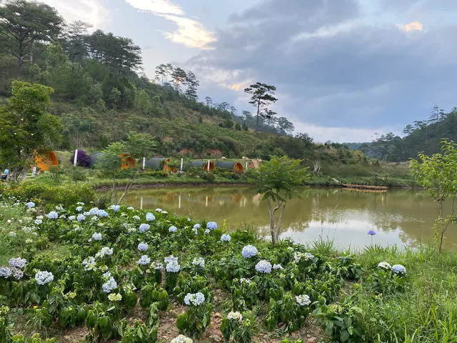 What does the resort in the middle of the pine forest in Dalat have that the daughter-in-law of tycoon Johnathan Hanh Nguyen often comes to?  - Photo 9.