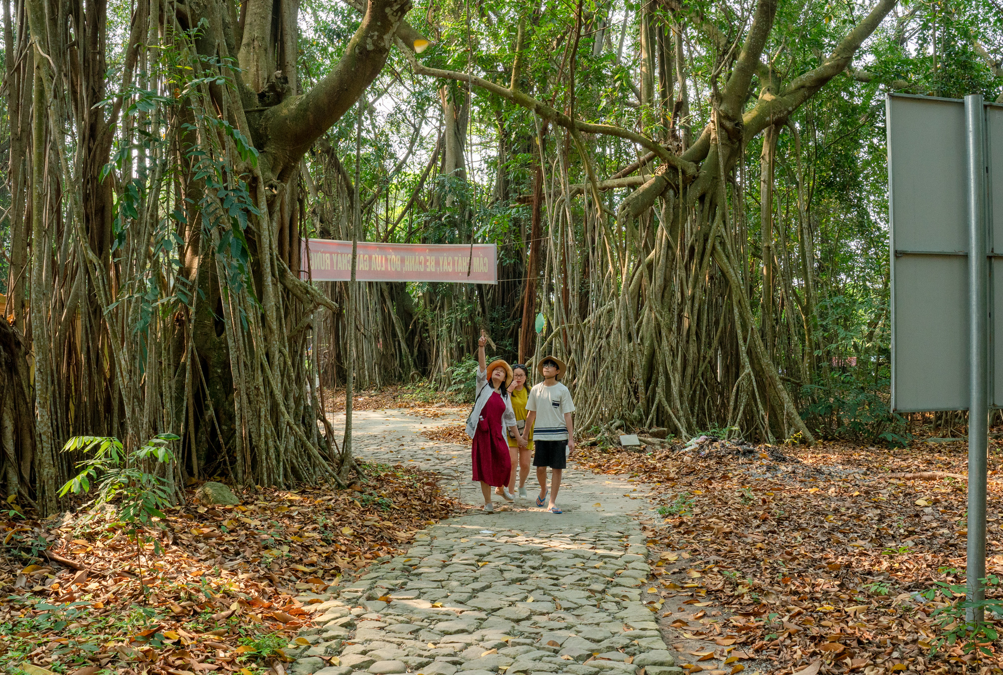 Khám phá đảo bé hạt tiêu có hải đăng cổ nhất Việt Nam, 124 năm vững vàng trước sóng gió - Ảnh 11.