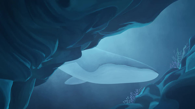 Chuyện buồn của chú cá voi cô đơn nhất hành tinh: Chưa 1 lần được tìm thấy nhưng vẫn làm cả thế giới cảm thương cùng bí mật kéo dài 30 năm - Ảnh 4.