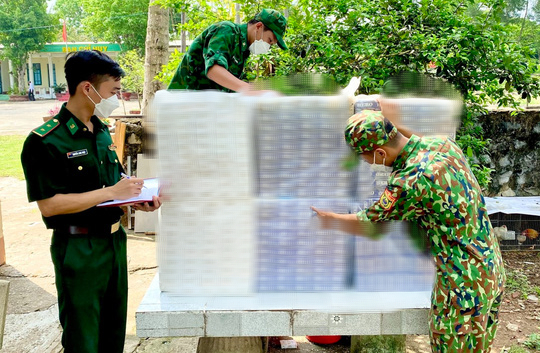 Truy bắt nhóm buôn lậu dùng roi điện và dao tấn công biên phòng - Ảnh 1.