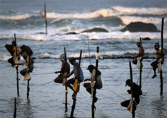  Cận cảnh nghề “đu cột câu cá” độc nhất vô nhị ở quốc gia 22 triệu dân vừa vỡ nợ  - Ảnh 3.