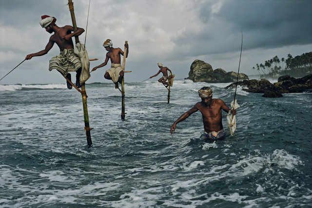  Cận cảnh nghề “đu cột câu cá” độc nhất vô nhị ở quốc gia 22 triệu dân vừa vỡ nợ  - Ảnh 9.