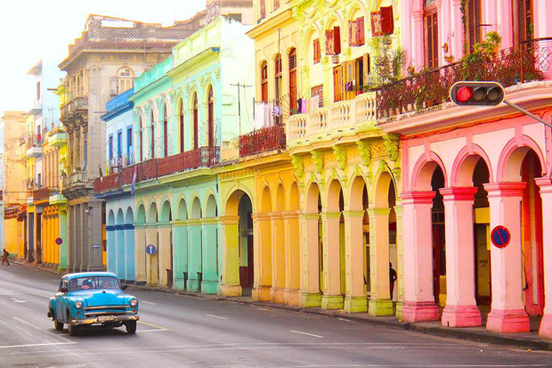 Flowers in front of the most colorful places on the planet, Vietnam also participates - Photo 8.