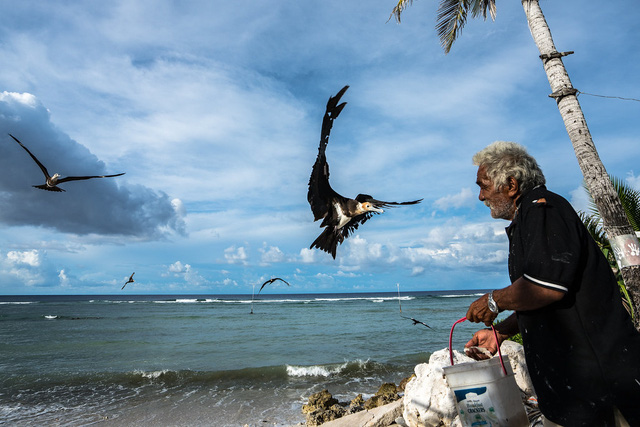 Quốc đảo Nauru kỳ lạ: Sở hữu kho báu độc nhất vô nhị từ... phân chim, lột xác thành nước giàu nhanh chóng, nhưng cũng vì thế mà đi vào khủng hoảng - Ảnh 2.