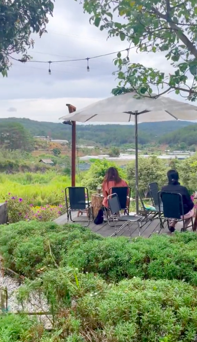 The hottest coffee shop in Da Lat makes customers very disappointed because the online photo is far from reality: Is it no different from a freshly plowed field?  - Photo 3.