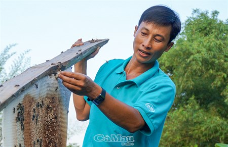 Tổ ong lớn nhất Việt Nam chứa khoảng bao nhiêu lít mật? - Ảnh 2.