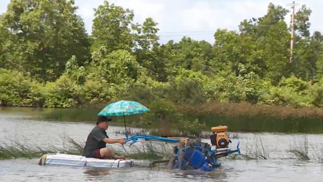  Độc đáo những chiếc máy cày nổi trên mặt nước của những lão nông Miền Tây - Ảnh 1.