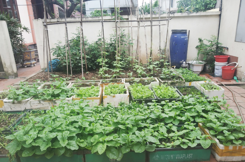 Những người đi “ăn rác - Ảnh 1.