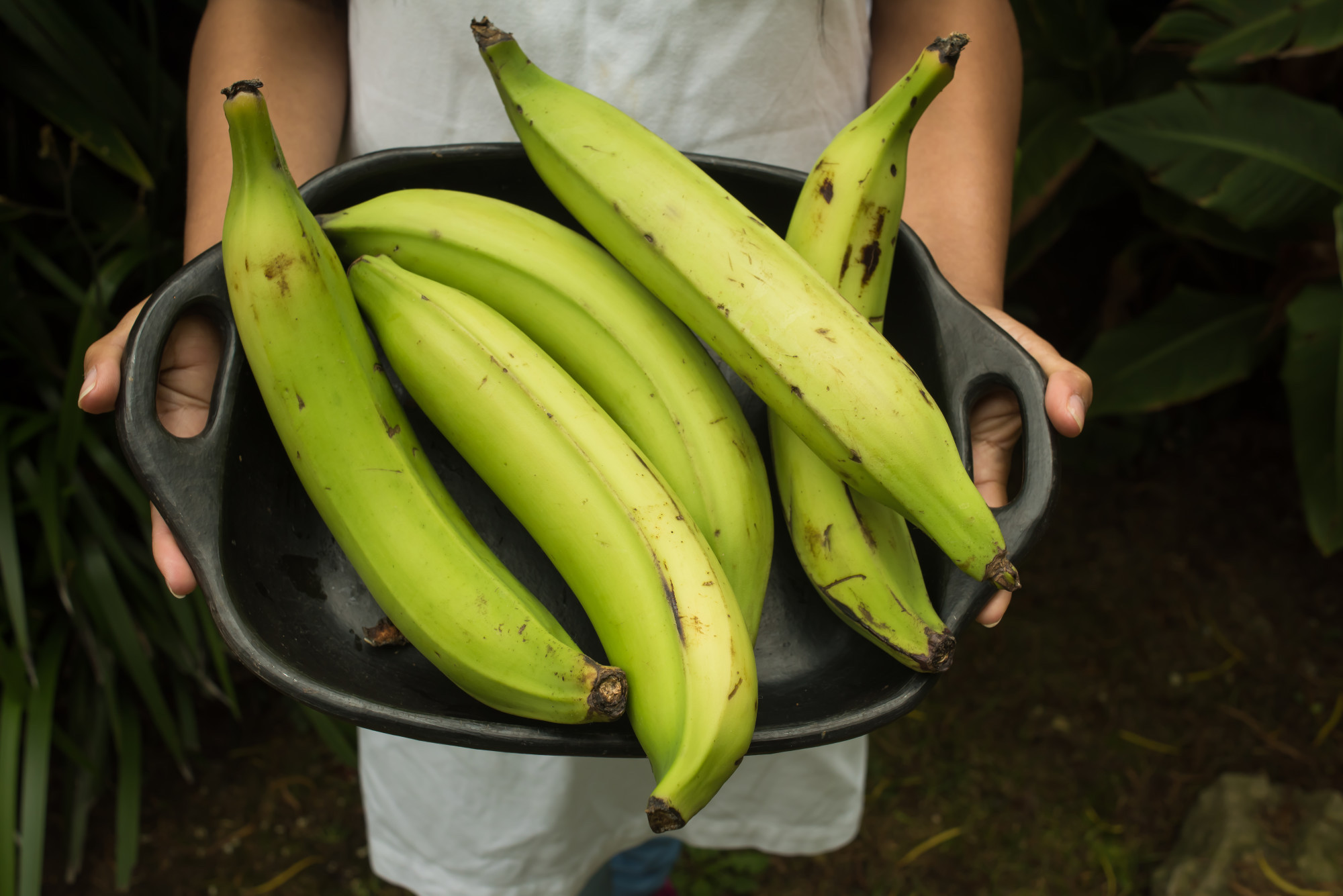 Chuối Đà Lạt Bao Nhiêu Calo