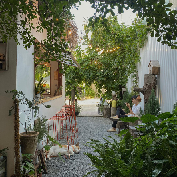 Quán cà phê Hội An hút gần 1 triệu view trên Instagram chỉ sau 1 khoảnh khắc - Ảnh 4.