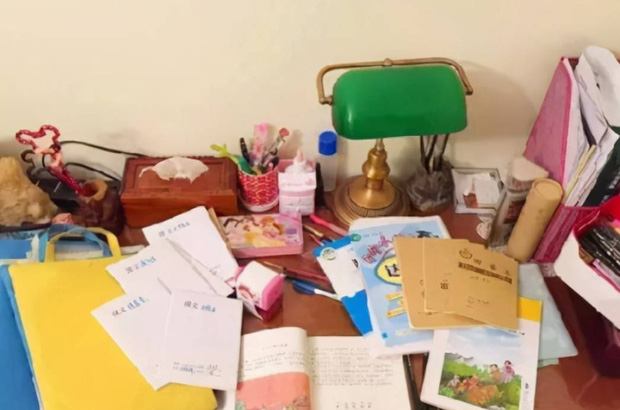 Nghiên cứu của Đại học Harvard: 3 chỗ này trong nhà bừa bộn chứng tỏ trẻ siêu THÔNG MINH - Ảnh 3.