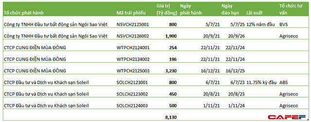 More than 10,000 billion VND of bonds are canceled, how does Tan Hoang Minh pay customers?  - Photo 1.