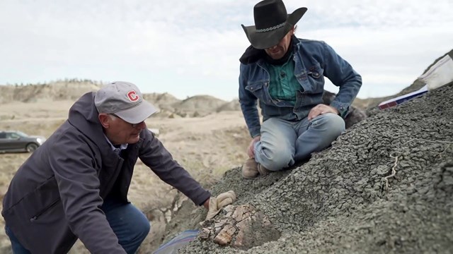 Dấu chân khủng long 112 triệu năm tuổi bị tàn phá ở Utah - Ảnh 3.