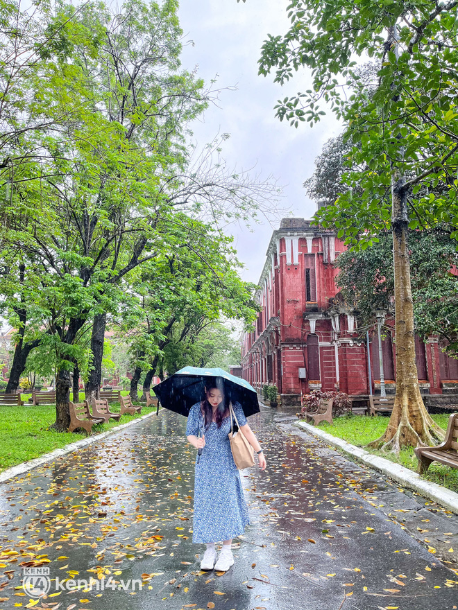 Tình trạng du lịch Huế - Đà Nẵng mấy ngày qua: Du khách “khóc thét” vì thời tiết  - Ảnh 16.