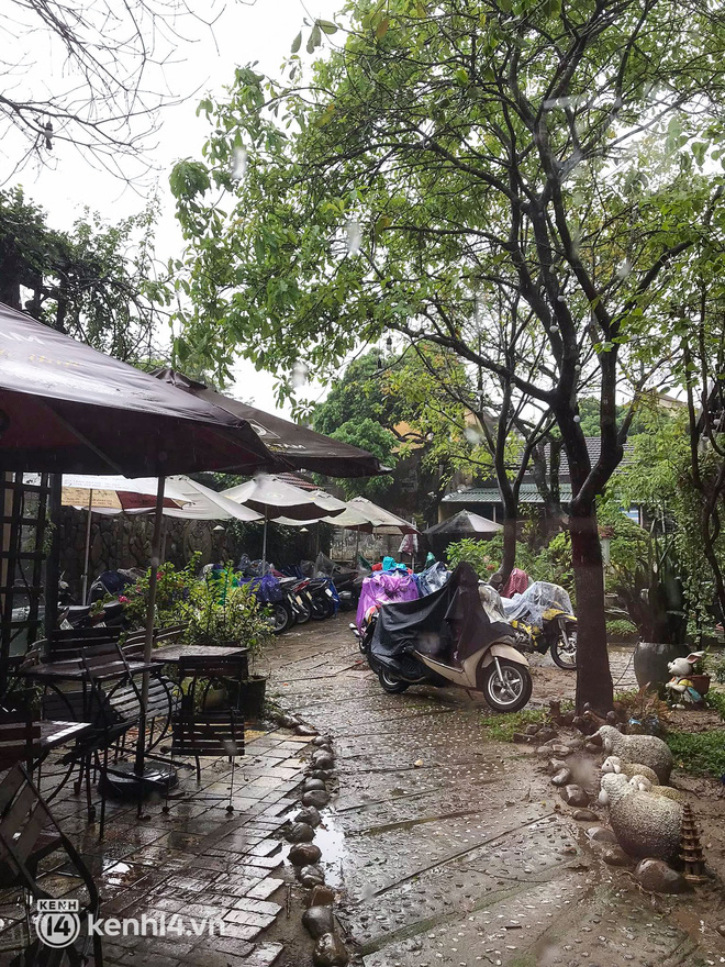 Tình trạng du lịch Huế - Đà Nẵng mấy ngày qua: Du khách “khóc thét” vì thời tiết  - Ảnh 6.