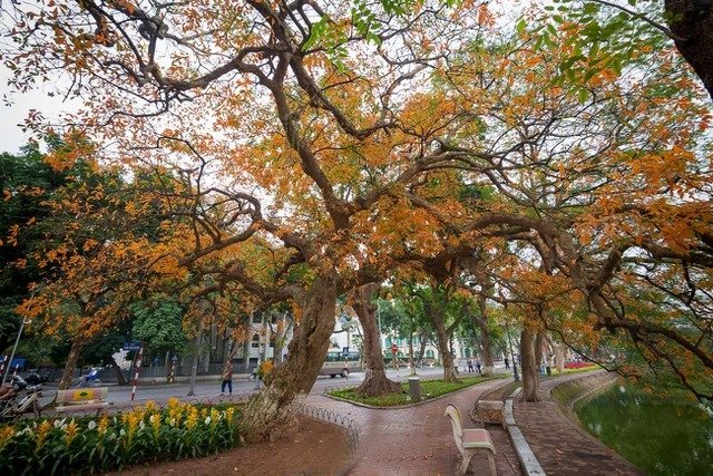 Weather for the next 10 days across the country from April 5-15: Sunny day and no rain at night, it's cold - Photo 1.