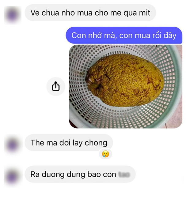 Mẹ nhờ mua quả mít, cô gái chụp ảnh gửi xác nhận thì bị mắng té tát: Ra đường đừng bảo con tôi! - Ảnh 1.