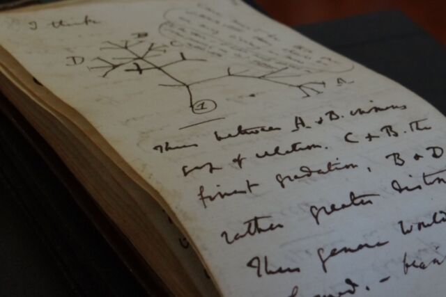 Sau 20 năm lưu lạc, 2 cuốn sổ tay vô giá của Charles Darwin đã được người bí ẩn trả lại Thư viện Đại học Cambridge - Ảnh 3.