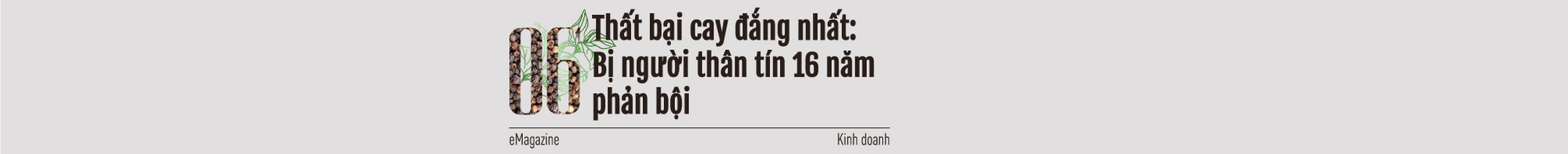 “Vua tiêu” Việt nổi danh thế giới: Việt Nam chính là nước quyết định giá hồ tiêu quốc tế - Ảnh 14.
