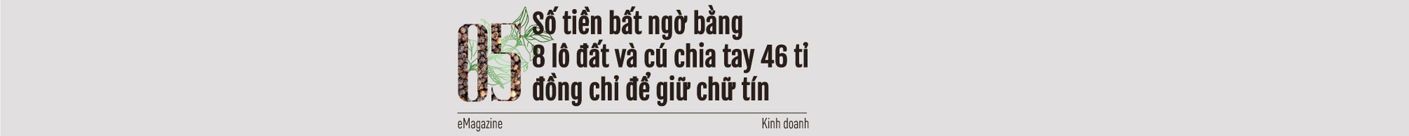 “Vua tiêu” Việt nổi danh thế giới: Việt Nam chính là nước quyết định giá hồ tiêu quốc tế - Ảnh 11.