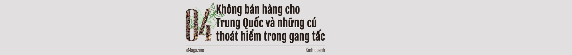 “Vua tiêu” Việt nổi danh thế giới: Việt Nam chính là nước quyết định giá hồ tiêu quốc tế - Ảnh 8.