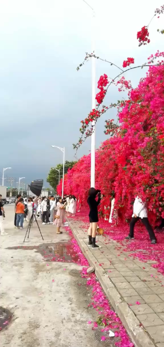 Seamless virtual live confetti is hot right next to Hanoi, but so shimmering that many netizens think it's abroad - Photo 2.
