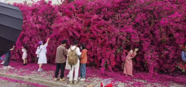 Seamless live virtual confetti is hot right next to Hanoi, but so shimmering that many netizens think it's abroad - Photo 5.