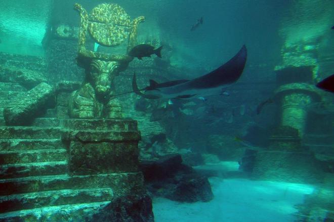 Khám phá Atlantis Phương Đông: Thành phố cổ nằm sâu dưới lòng hồ, có niên đại 1300 năm và kiến trúc kì vĩ khiến nhiều người phải nổi da gà - Ảnh 7.