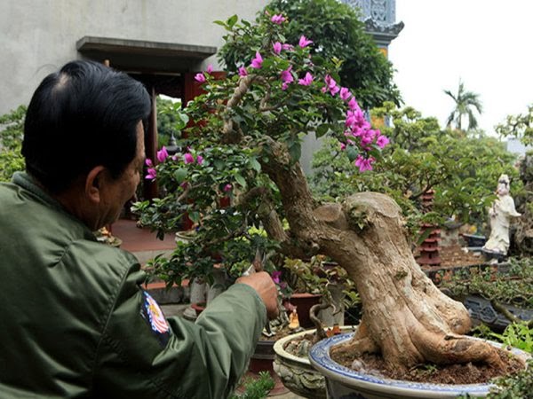 Nhổ cây dại ven đường, chàng trai đem về biến thành tác phẩm nghệ thuật ai cũng trầm trồ - Ảnh 4.