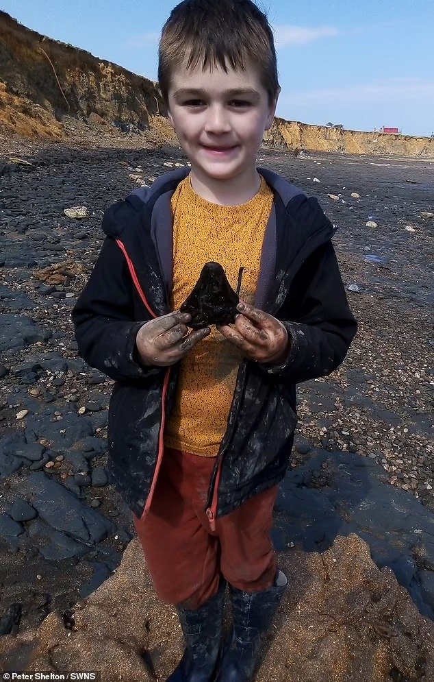 Lang thang trên bãi biển, bé trai 6 tuổi phát hiện báu vật 3 triệu năm - Ảnh 1.