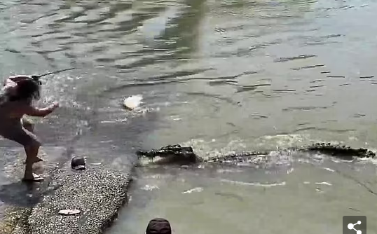 Risking himself against the crocodile to get the fallen hat - Photo 1.