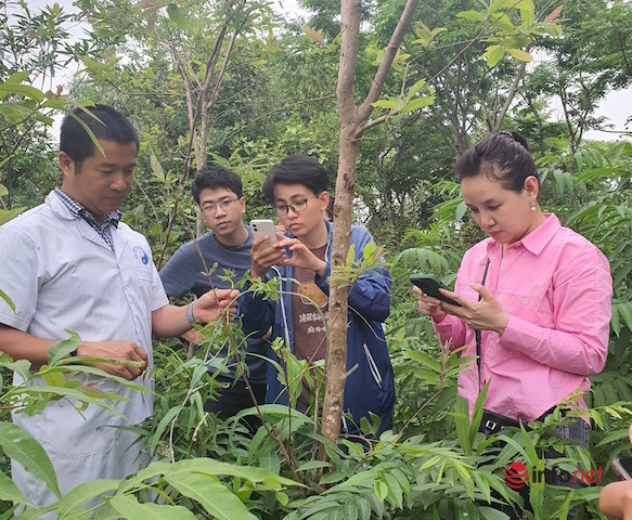 Nước chanh tươi, ai có thể uống, ai không nên dùng? - Ảnh 2.