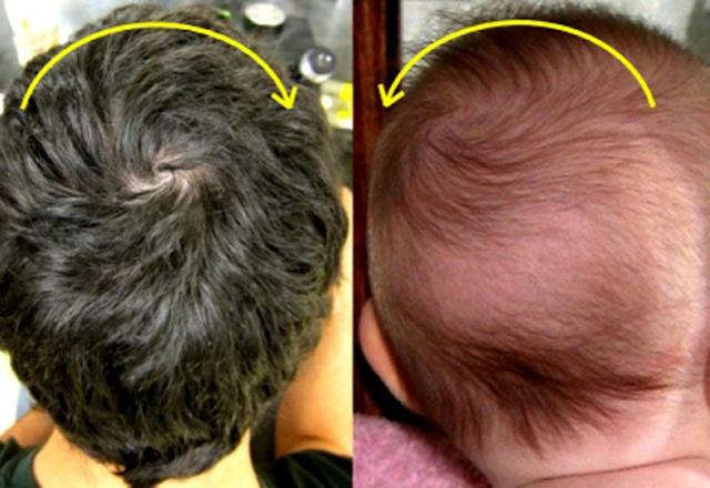 Trẻ có 2 xoáy tóc dễ có IQ hơn người? Chuyên gia giải đáp và chỉ ra nếu có 4 dấu hiệu sau thì đích thị là thiên tài - Ảnh 2.