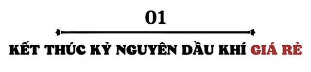  Châu Âu tranh giành năng lượng, nhưng châu Á lại phải “trả giá”  - Ảnh 1.