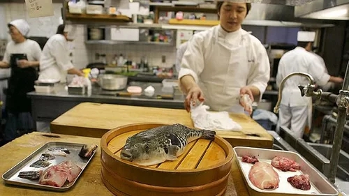 Risking your life to try the million-dollar puffer fish sashimi specialty in Japan - Photo 4.