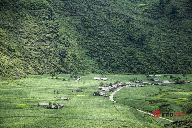 Du lịch Hà Giang chuyển mình, du khách đắm chìm trước cảnh đẹp mê hồn của vùng cao nguyên đá - Ảnh 9.