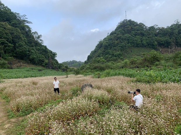 Ngỡ ngàng ngắm hoa tam giác mạch trái mùa ở Hà Giang khiến nhiều du khách không khỏi ngạc nhiên và thích thú - Ảnh 11.